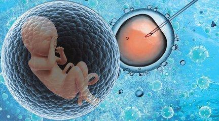 王建国